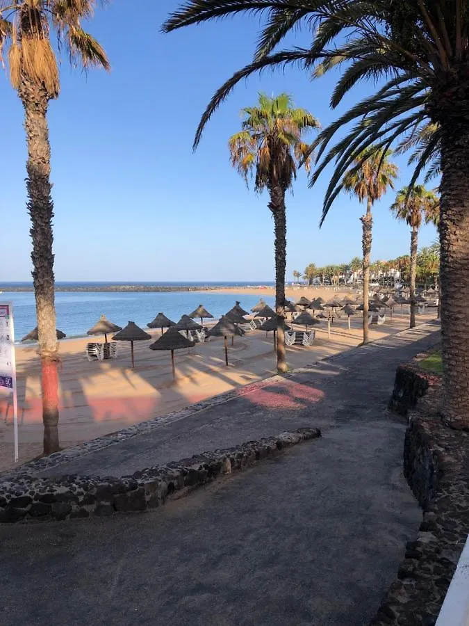 Go2Tenerife Apart'Gecko Extraordinary Sea View Arona  Arona (Tenerife)